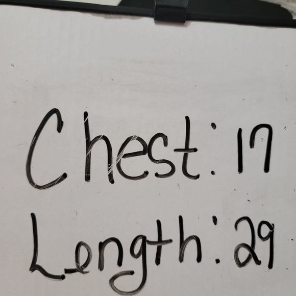 Alter'd State sleeveless Blouse grey blue ruffle bottom high low size medium - Picture 4 of 6